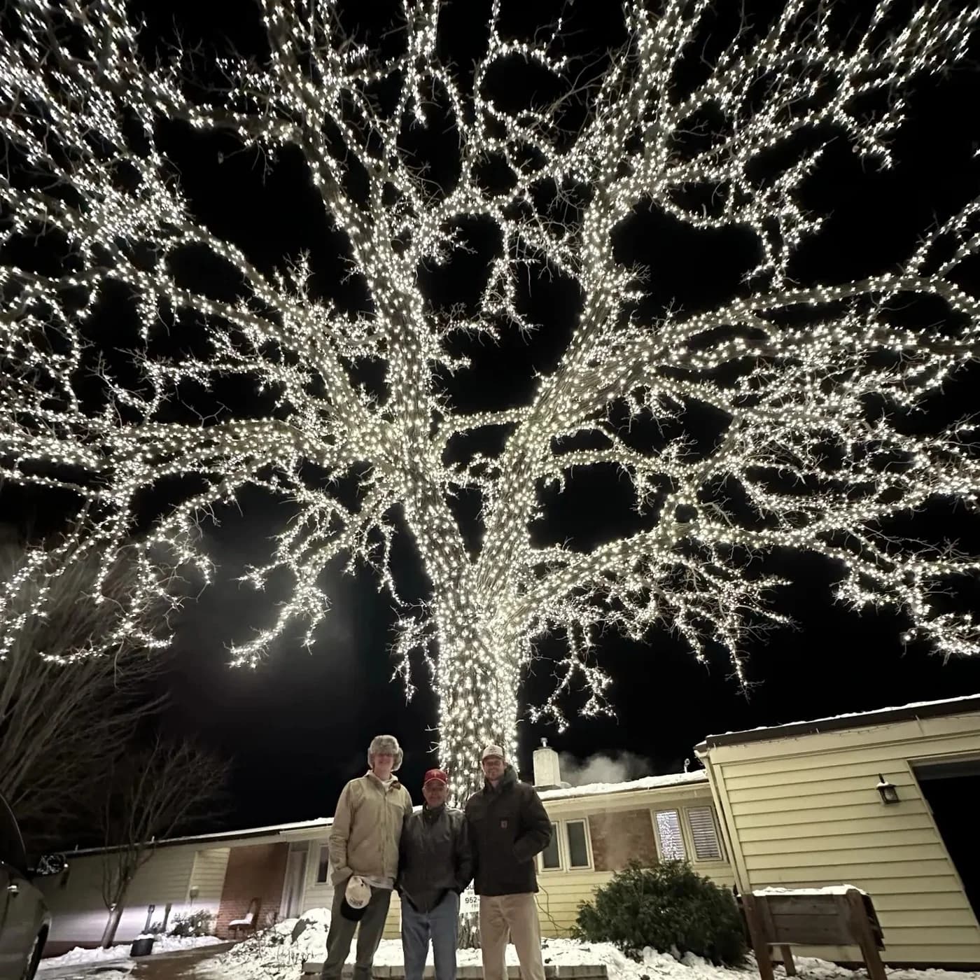 Fritz and the crew at the base of the Lighted Oak, branches wrapped in thousands of warm white lights