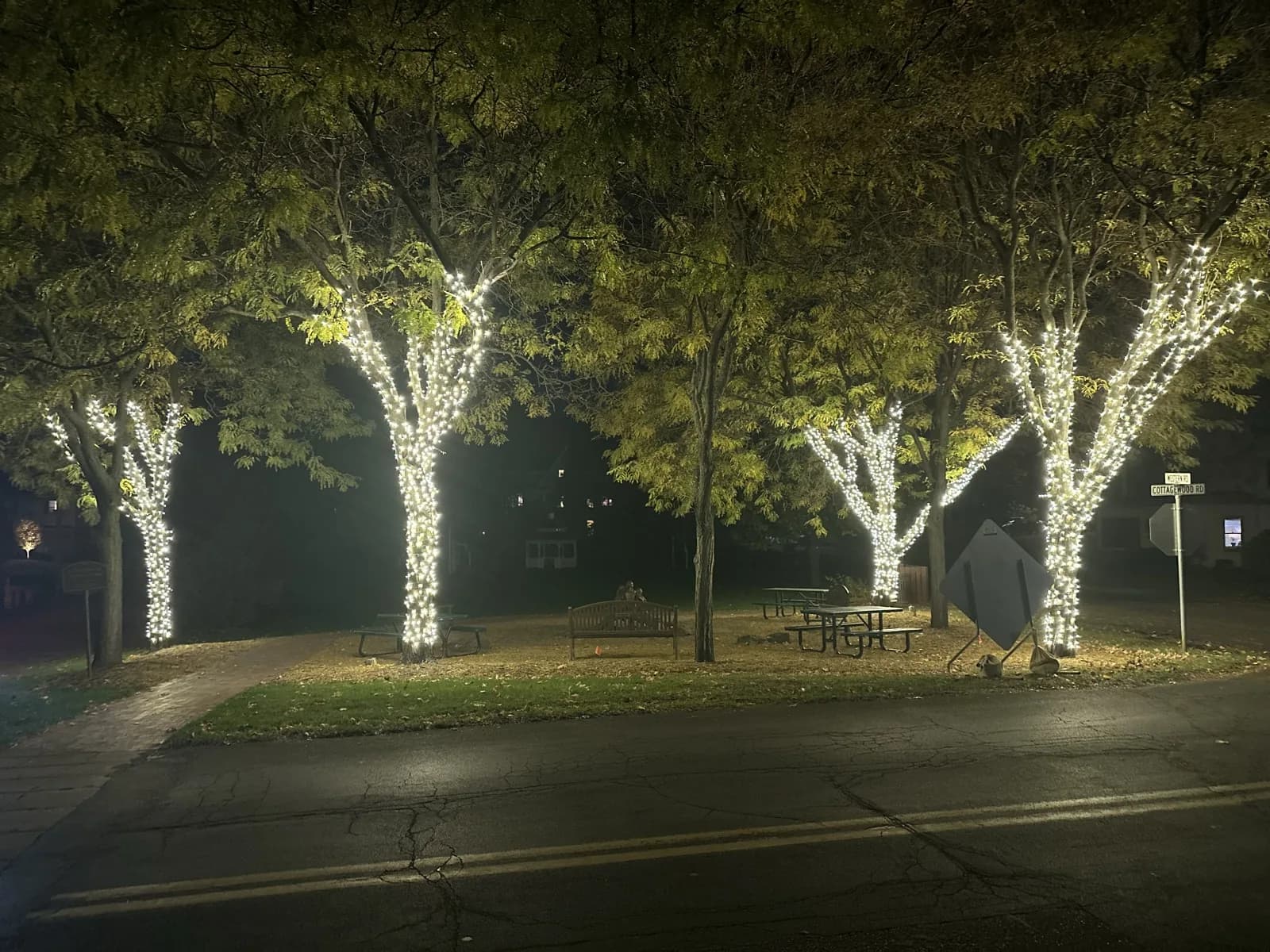 Four park trees trunk-and-branch wrapped in warm white mini lights at 6-inch spacing, wrapped tight up to 16 feet — Cottagewood Road, Deephaven MN