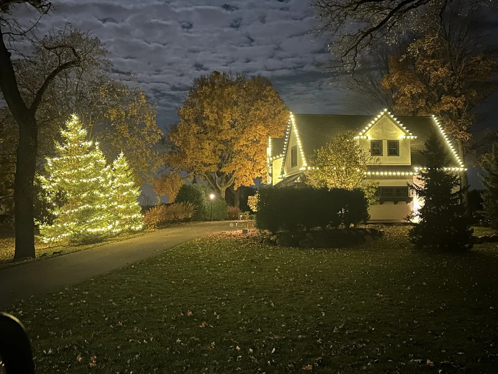 Evergreen pine trees wrapped in mini lights beside a home lit with C9 bulbs around the peaks and gutter line