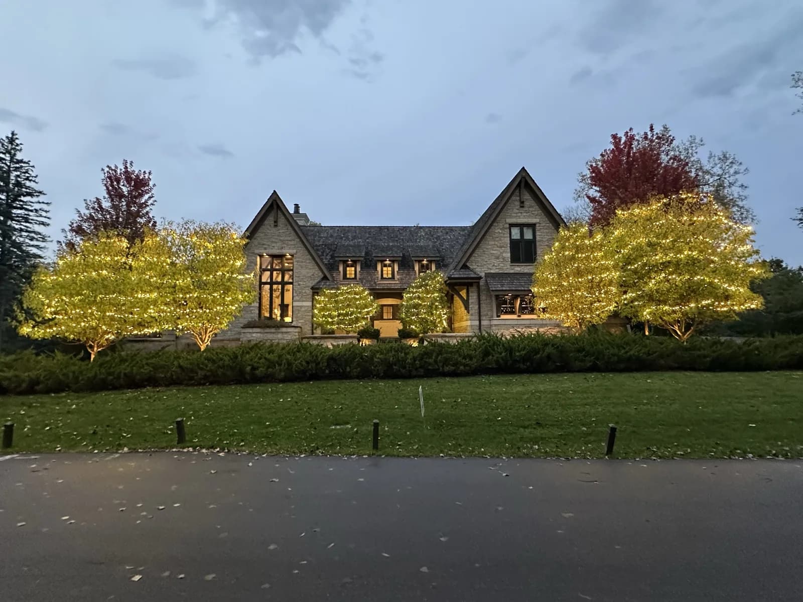 Cylinder-wrapped mini lights on every branch — 5mm lights at 4-inch spacing on the ornamental trees of a stone estate