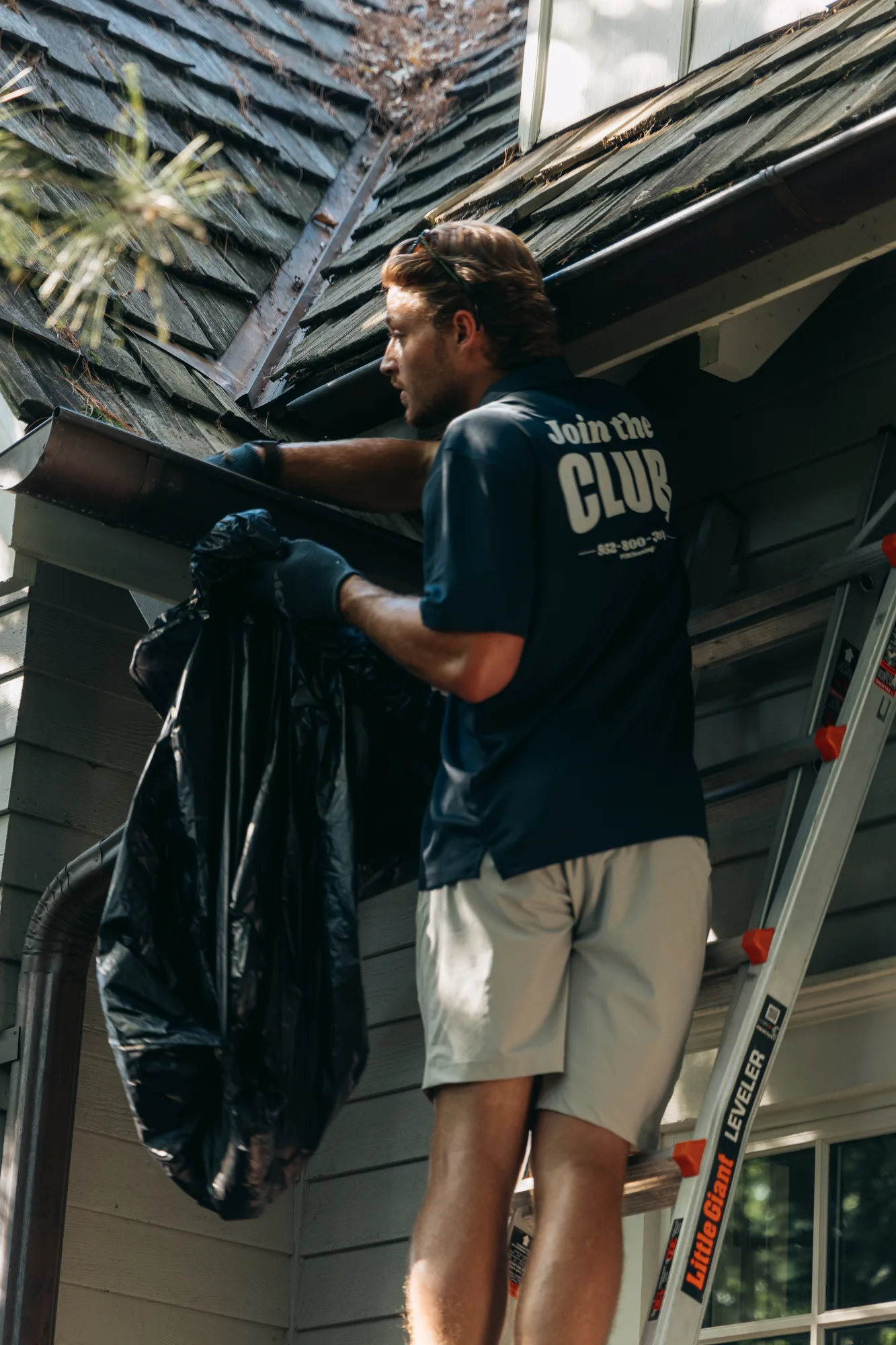 Ladder work at the gutter line under the pines — gutter cleaning Twin Cities